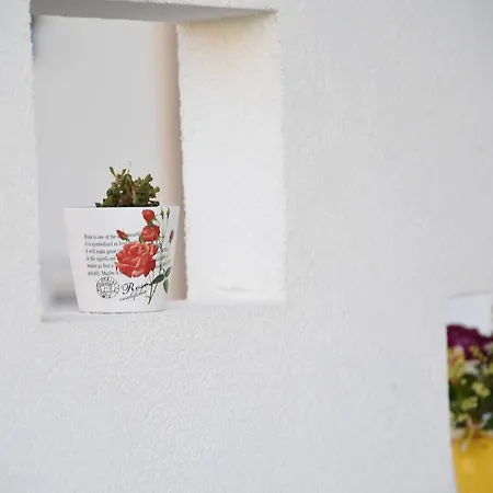 Il Fiorone Bed and Breakfast Torre Canne