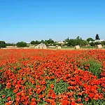 Il Fiorone 4* טורה קאנה