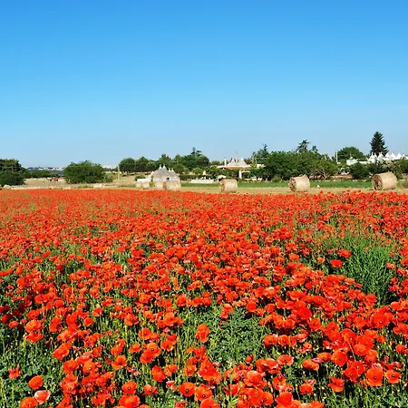 Il Fiorone Bed and Breakfast
