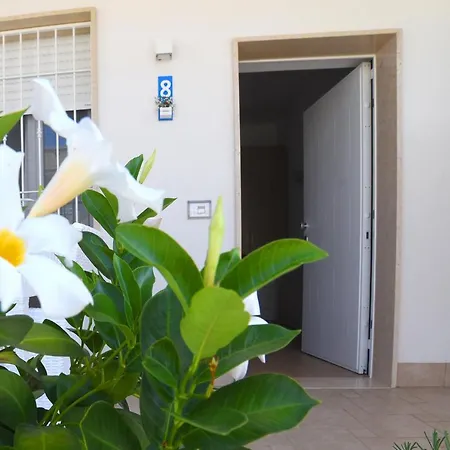 Il Fiorone Torre Canne